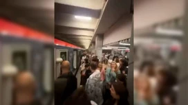 На фиолетовой ветке московского метро возник сбой из-за самоката на путях