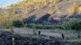 В Липецкой области в 45 пожарах сгорело более 42 гектаров сухой травы за выходные