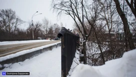 Мэрия ищет подрядчика на капремонт Аптекарского моста в Томске