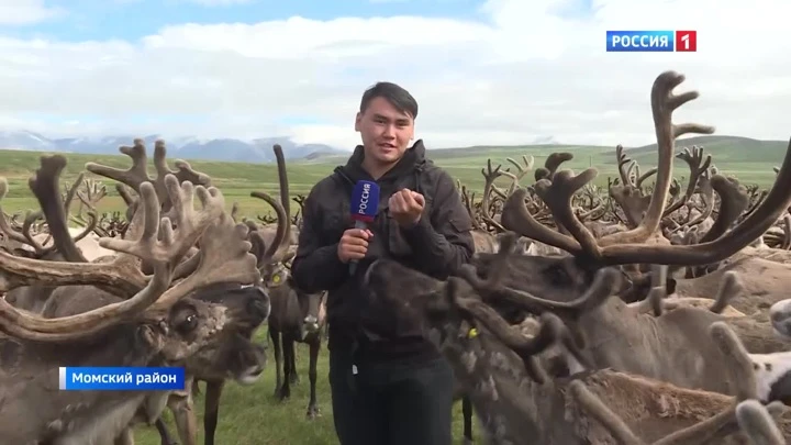 Вести. Саха Помочь жителям заполярья. Арктический десант Якутской епархии прибыл в Момский район