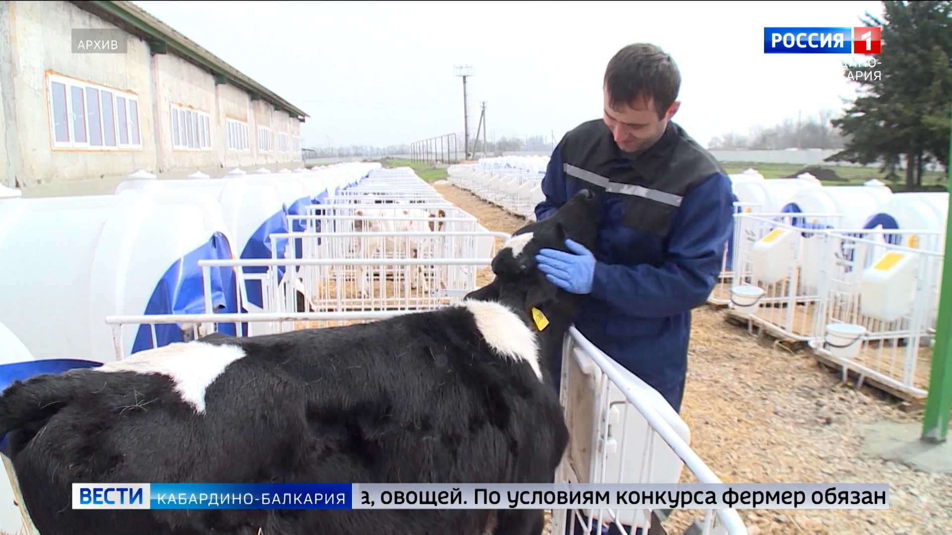 В КБР осуществят финансовую поддержку фермеров по программе "Агростартап"