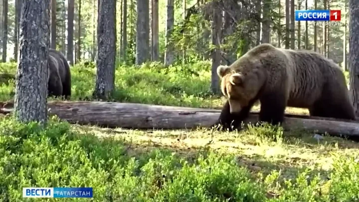 Вести. Татарстан Эфир от 22.07.2022 (21:05)