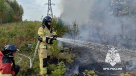 Под Петрозаводском локализован лесной пожар площадью 2000 кв. метров