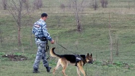 13 наркодельцов поймали в Краснодаре