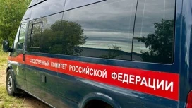 В Пермском крае возбудили дело после гибели двоих детей на пруду