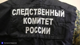 Глава СК поручил возбудить уголовное дело из-за стрельбы в томской сауне