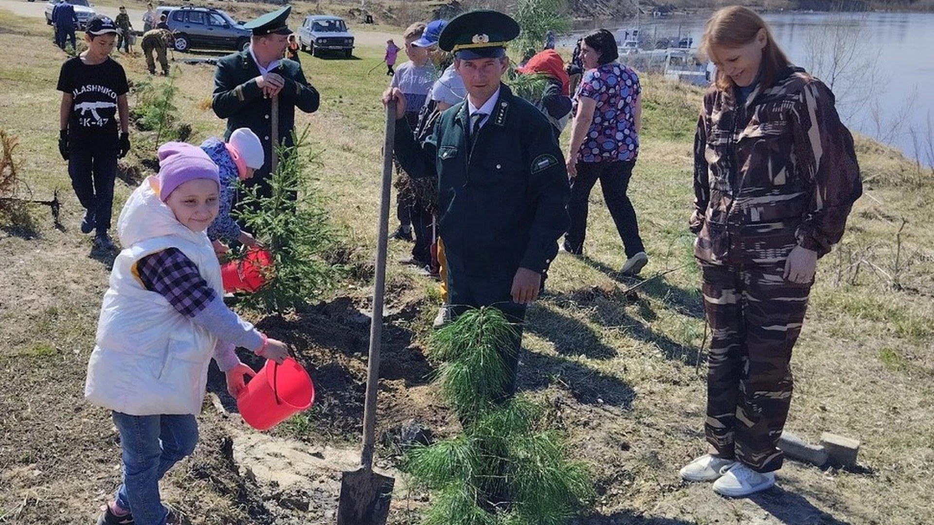 В Белом Яру высадили 5,5 тысяч саженцев сосны и ели