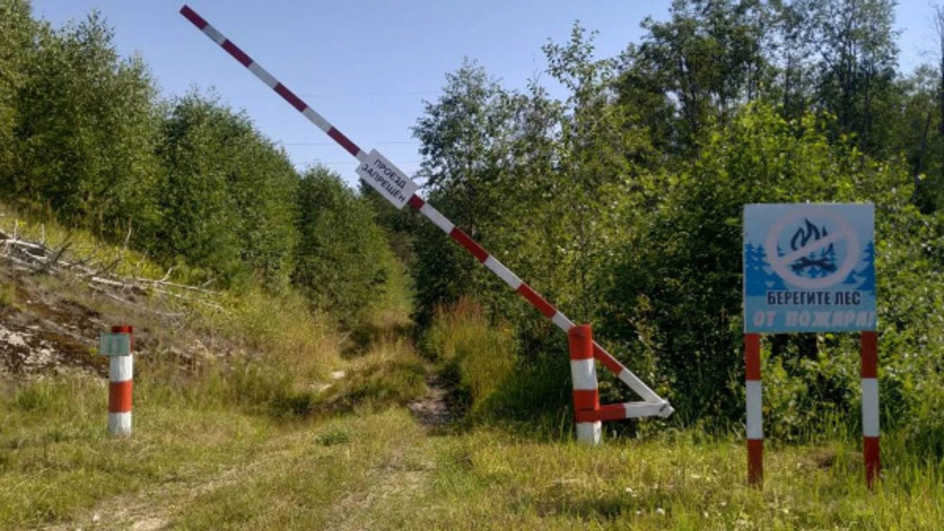 Семь жителей Костромской области попались на нарушении особого противопожарного режима