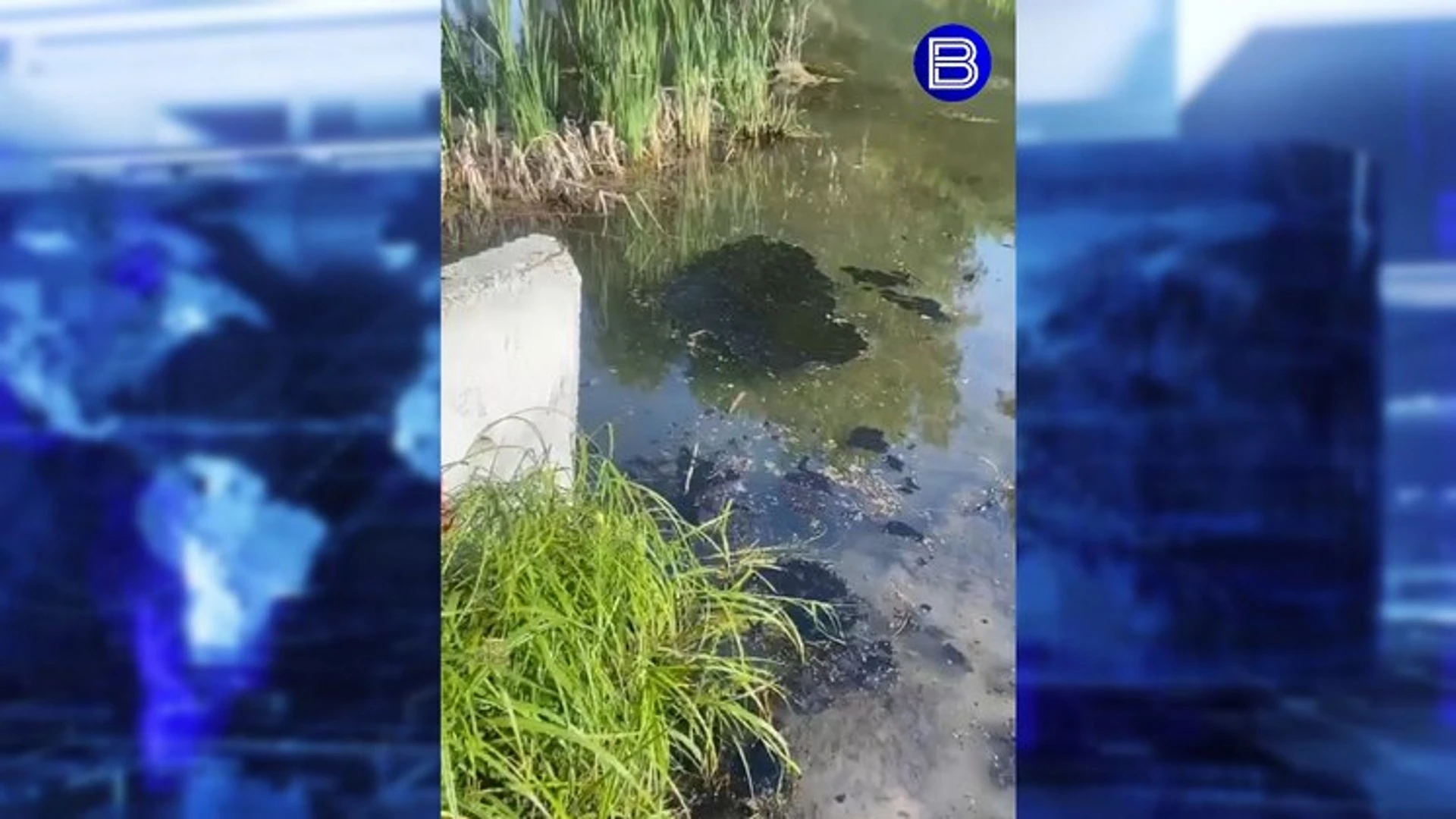 В Новосибирске горожан напугали черные масляные пятна на воде озера Шишка