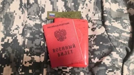 МВД запросило данные о не вставших на воинский учет натурализованных гражданах