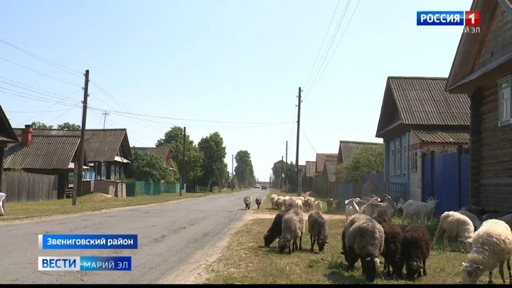 Вести. Марий Эл Эфир от 14.07.2022