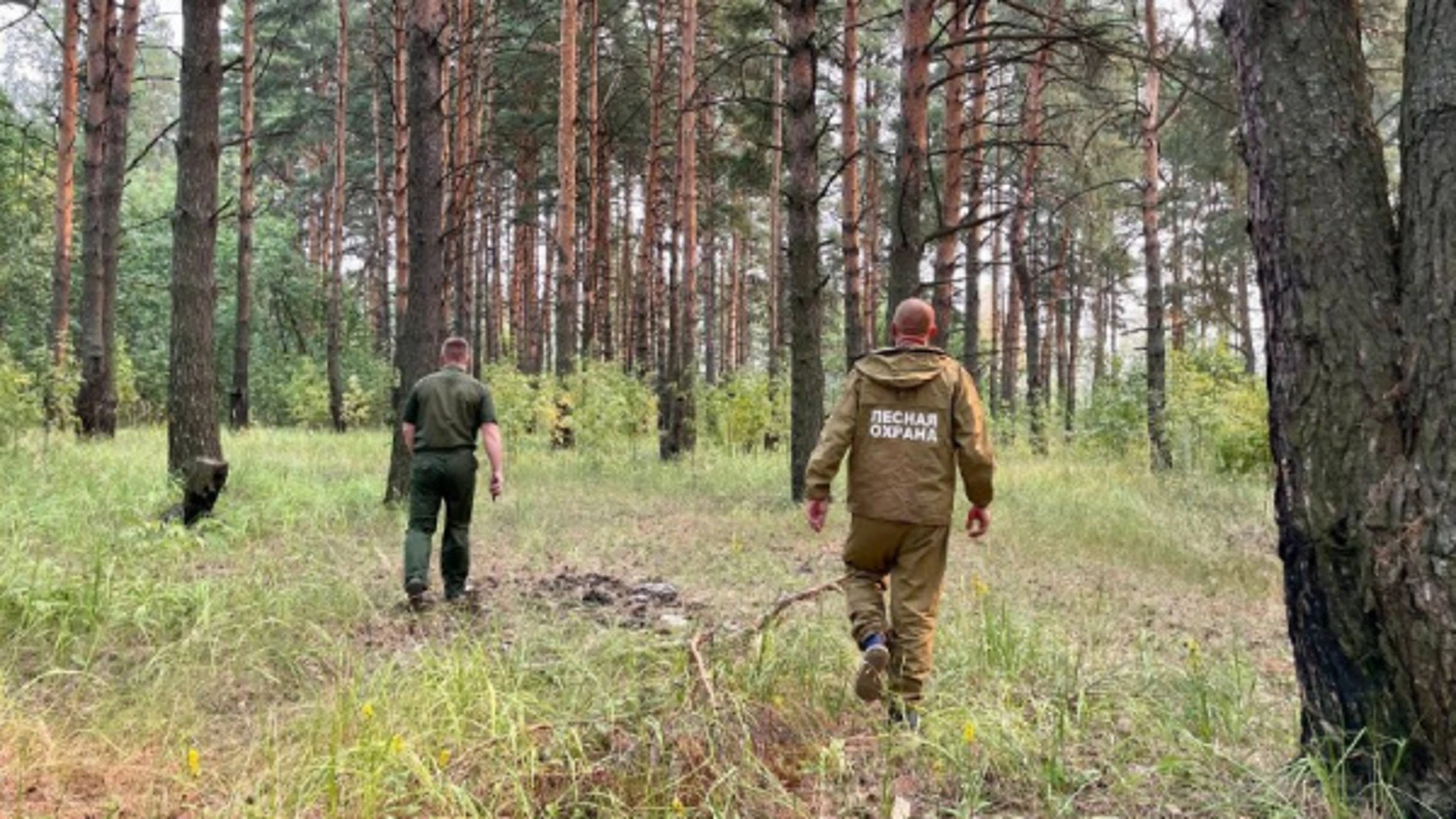 Особый противопожарный режим в Костромской области продлили