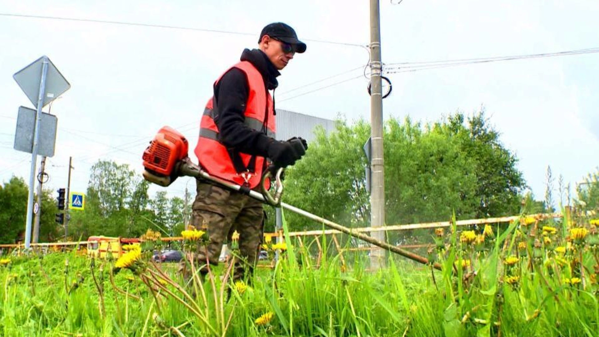 В Архангельске выделены дополнительные средства на покос травы