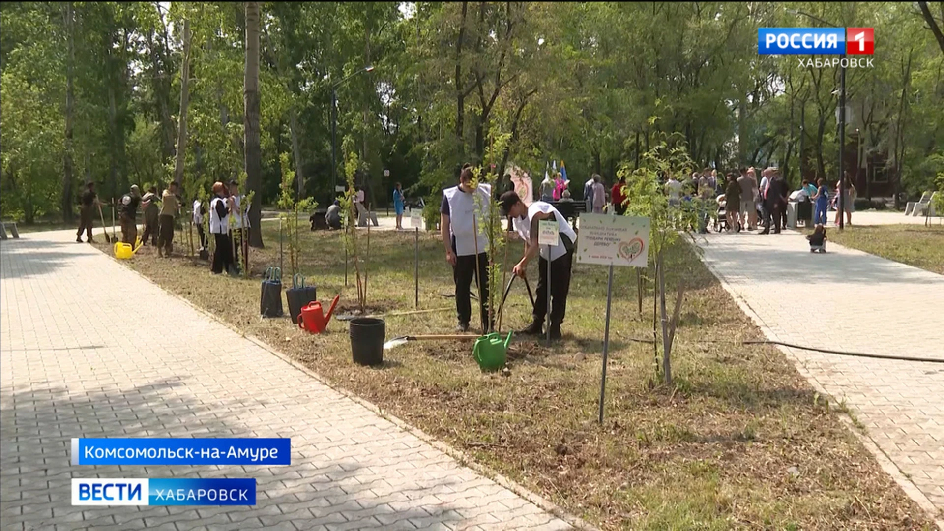 Семьи Комсомольска-на-Амуре посадили деревья в честь своих детей