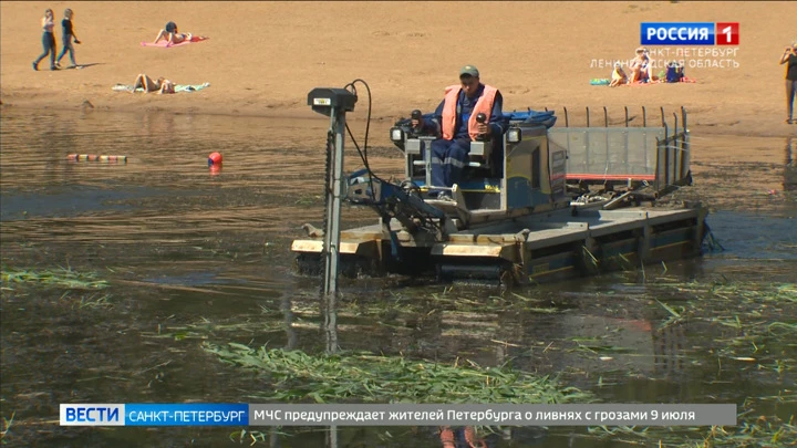 Вести. Санкт-Петербург Эфир от 09.07.2022 (08:00)