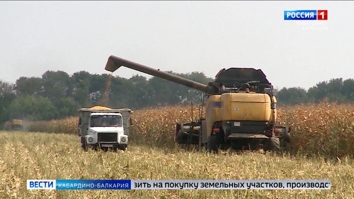 Вести. Кабардино-Балкария 20 фермеров Кабардино-Балкарии получат гранты по программе “Агростартап” в 2022 году