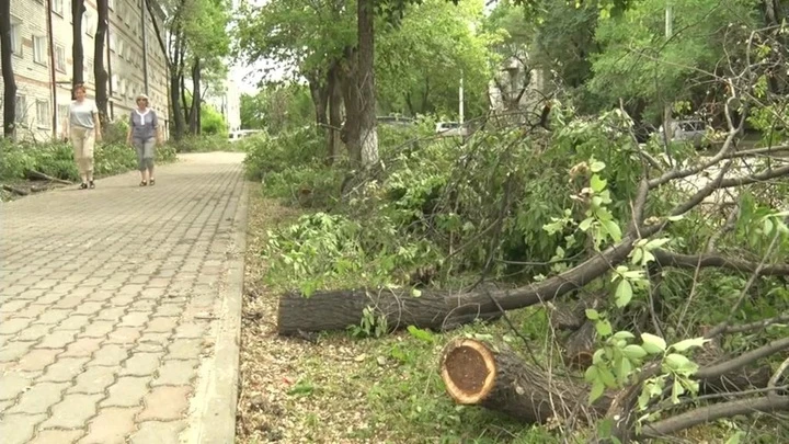 Новости В Благовещенске устраняют последствия урагана, но непогода сохраняется