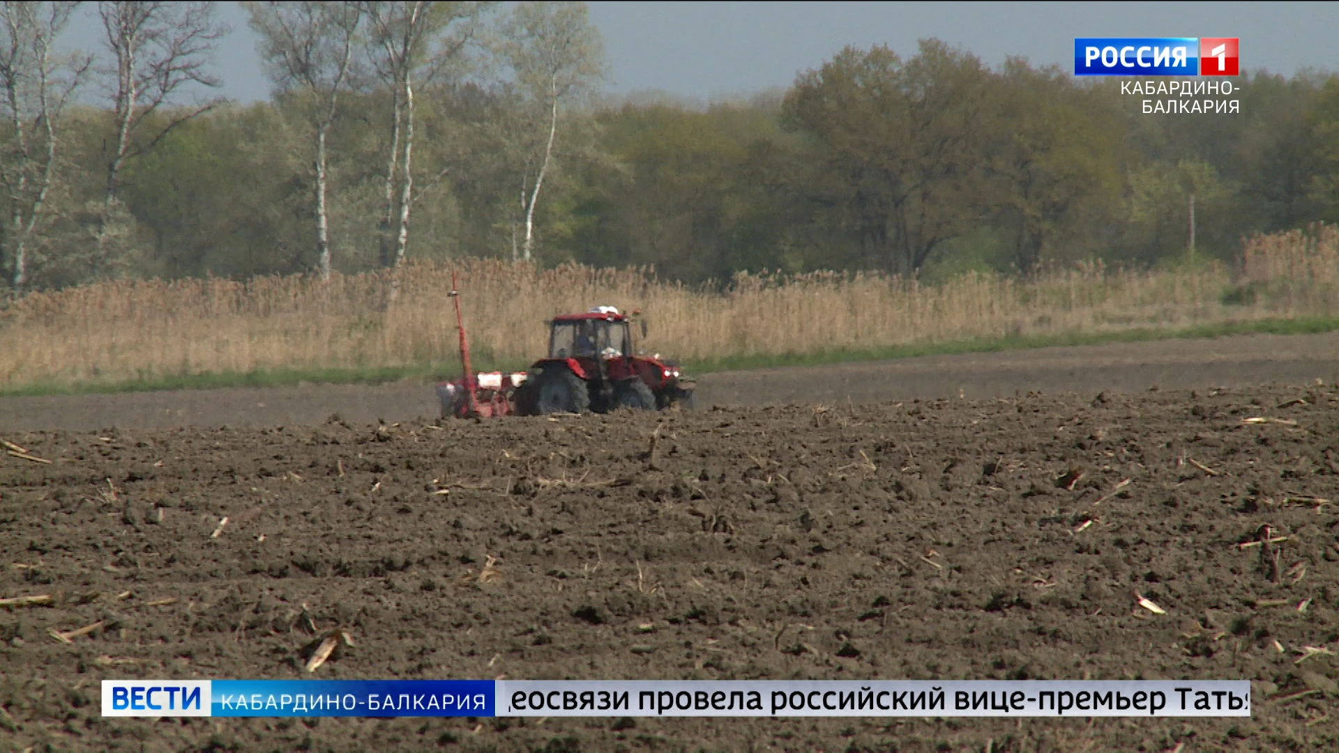 В КБР засеяли 220 тысяч гектаров яровыми культурами