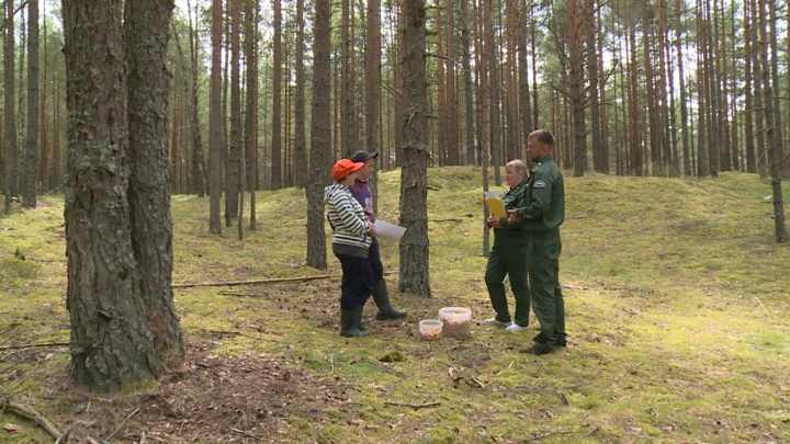 Вести. Псков Эфир от 06.07.2022 (21:05)