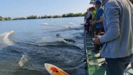 В "Матче сильнейших" саратовцы на втором месте