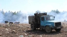 Три крупных мусорных полигона рекультивируют на Кубани