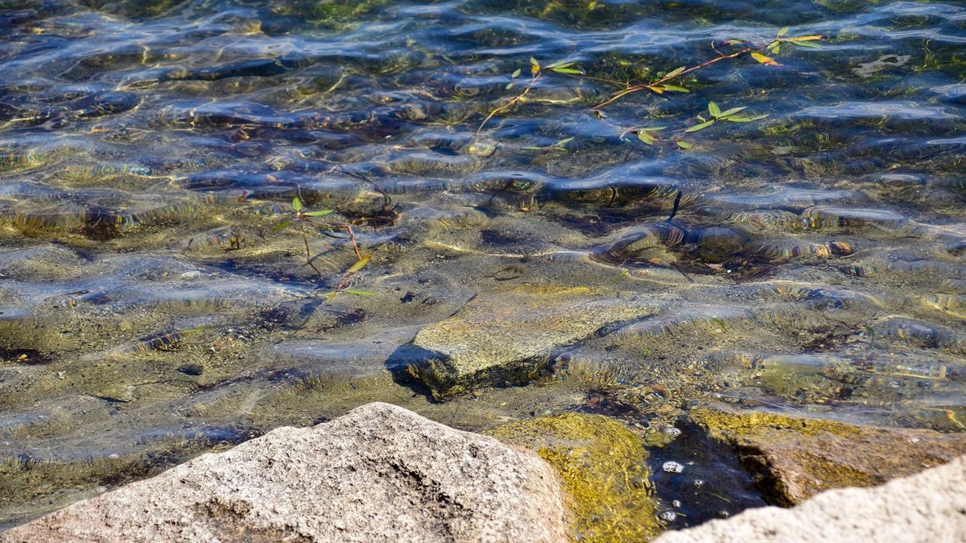 Из-за аномальной жары водохранилища Екатеринбурга начали брать воду в Челябинской области