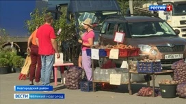 В Новгородской области началась пора традиционных осенних  ярмарок