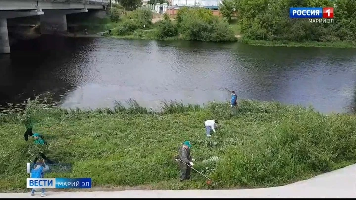 Вести. Марий Эл Берег Малой Кокшаги в Йошкар-Оле очистили от мусора