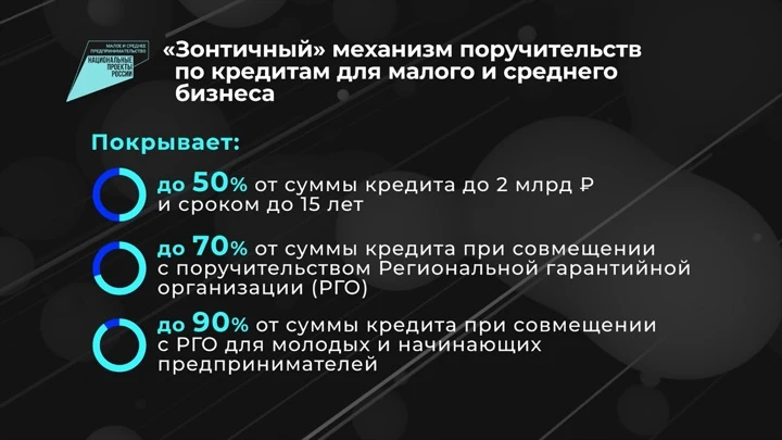 Инфографика Россия в цифрах. "Зонтичные" поручительства