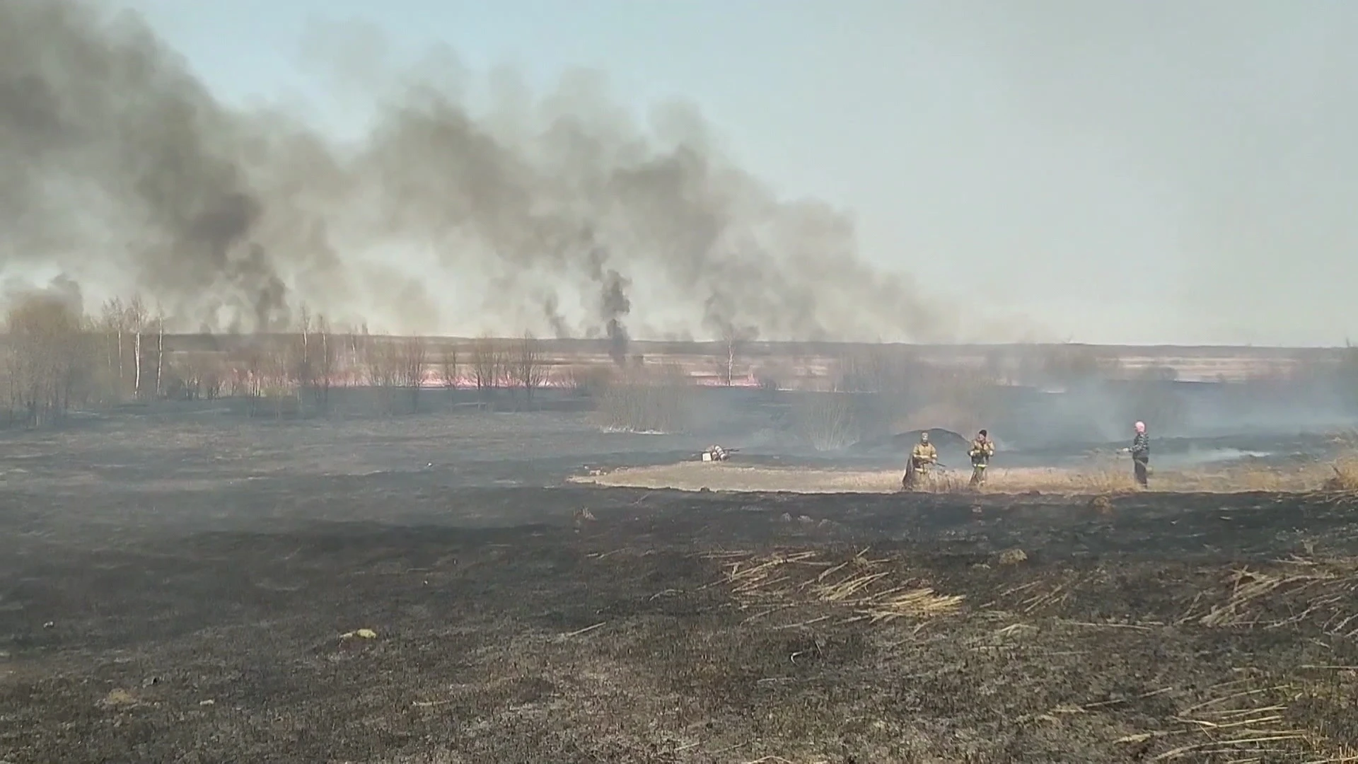 В 12 районах Ярославской области объявлен 4 класс пожарной опасности