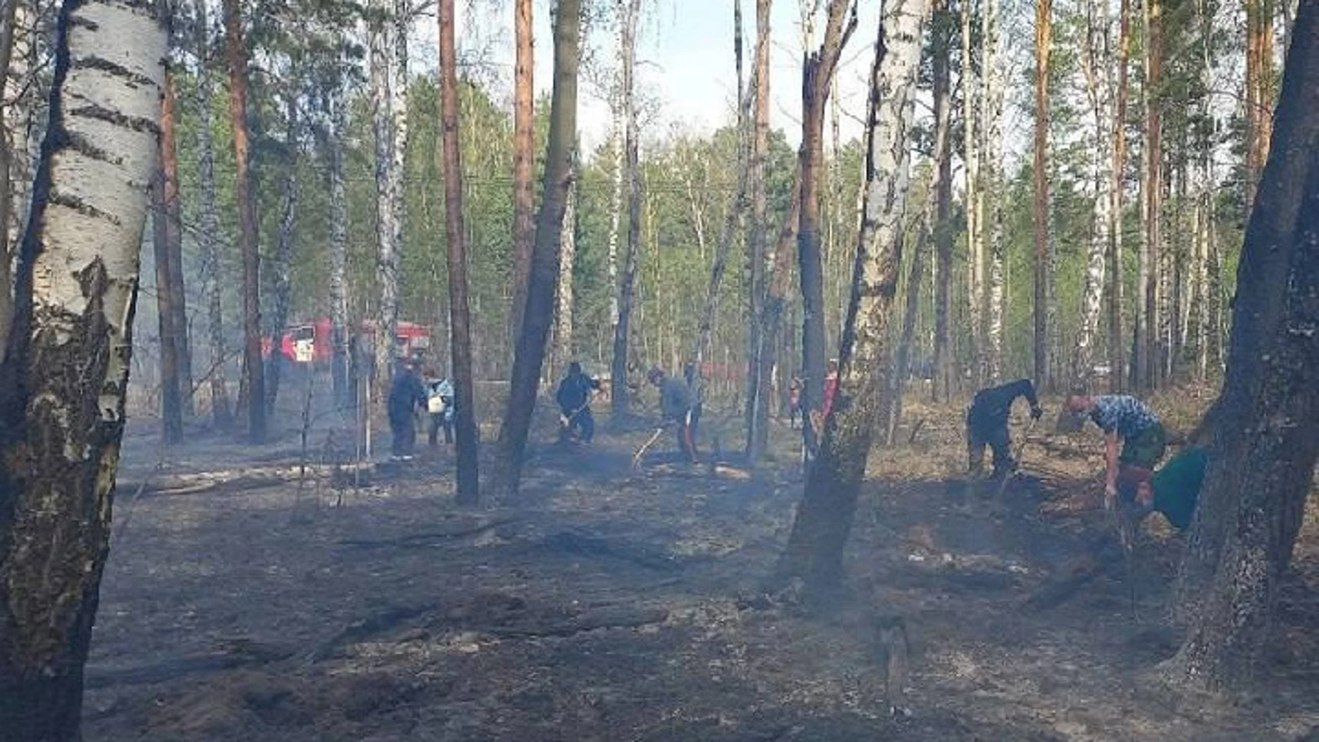 Угроза населённым пунктам от лесных пожаров в Тюменской области снята