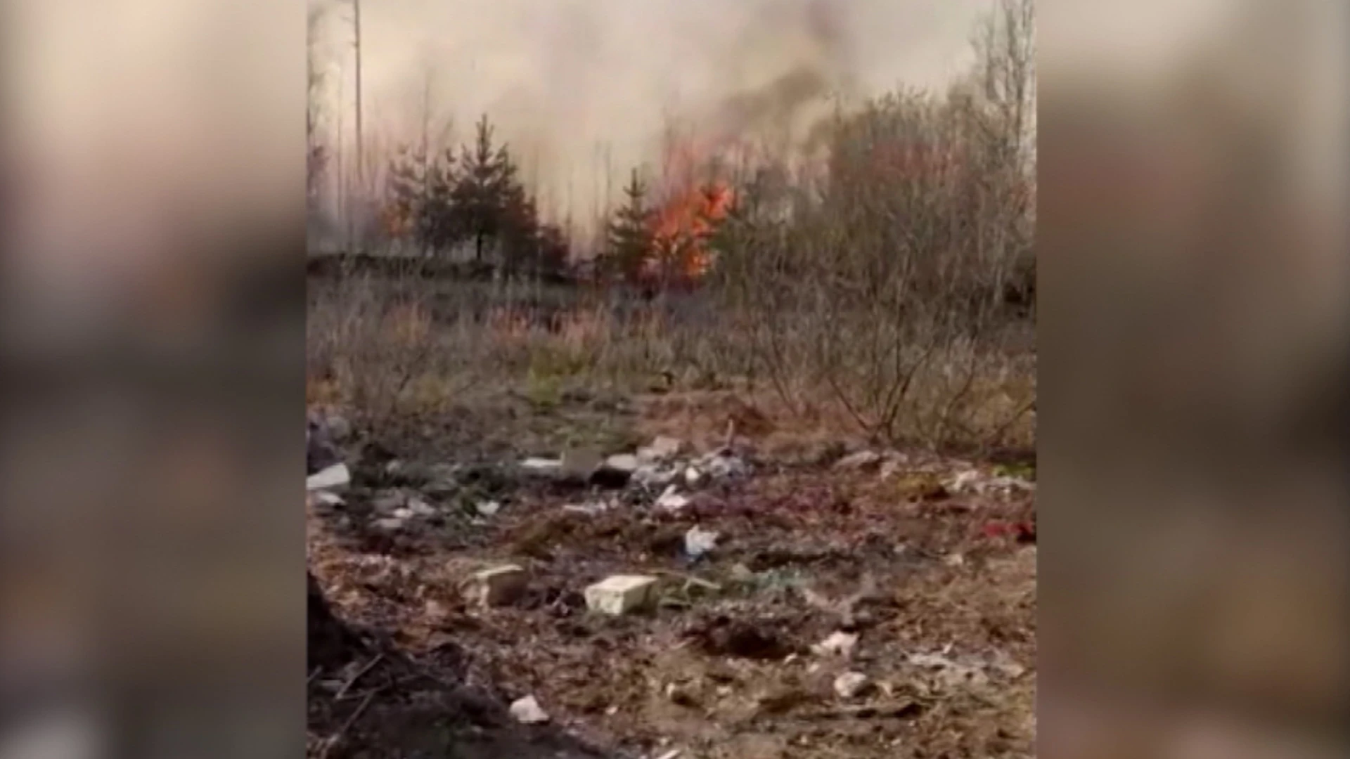 Под Асбестом разгорелся природный пожар