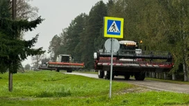 Режим ЧС введен в Томском районе из-за гибели урожая