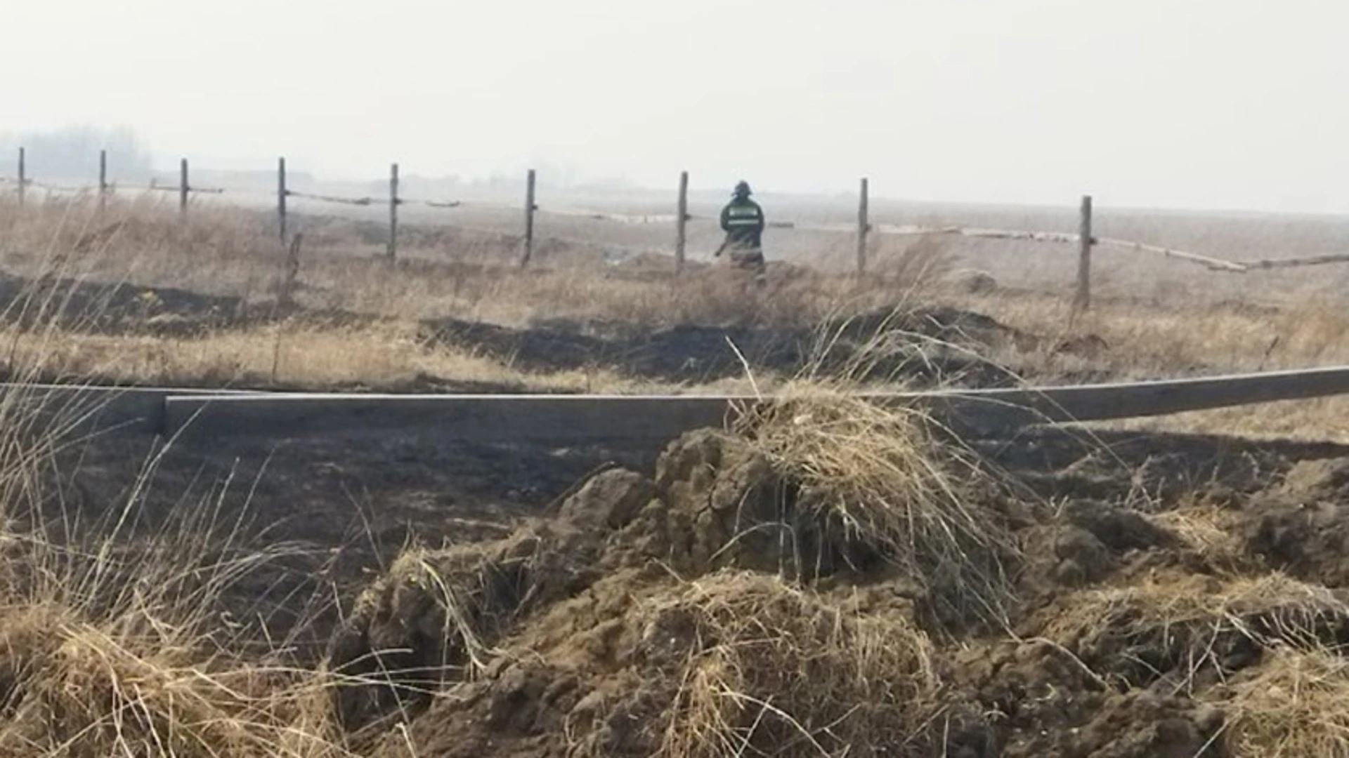 Сухая трава на площади более 14 тысяч гектаров горела в Приамурье