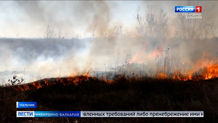 Вести. Кабардино-Балкария С начала года на территории Кабардино-Балкарии зарегистрировано больше 500 пожаров