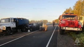 В Большесельском районе сбивший лося водитель погиб под колесами другого авто