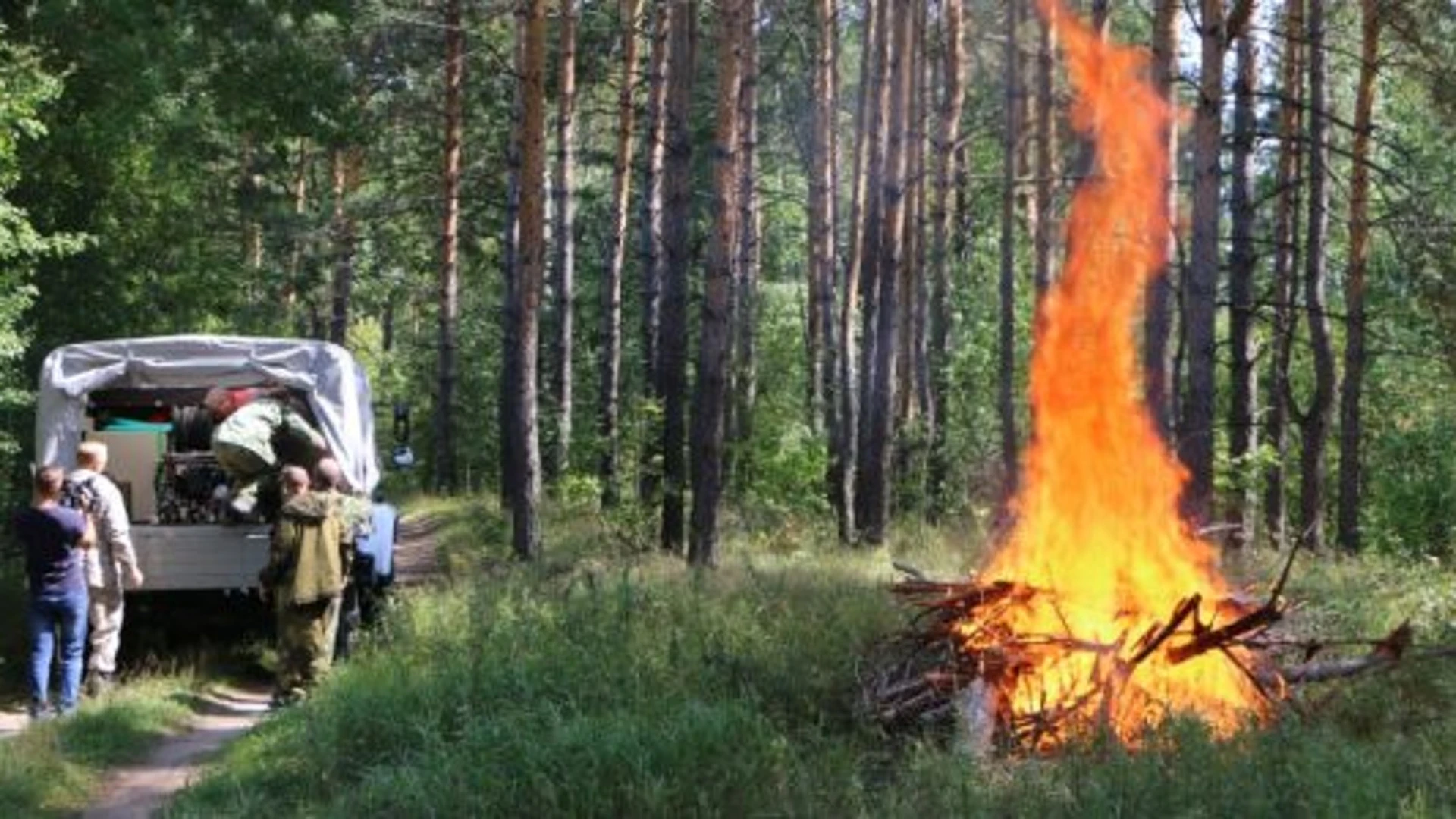 Пензенцев оштрафовали за разведение костров в лесу