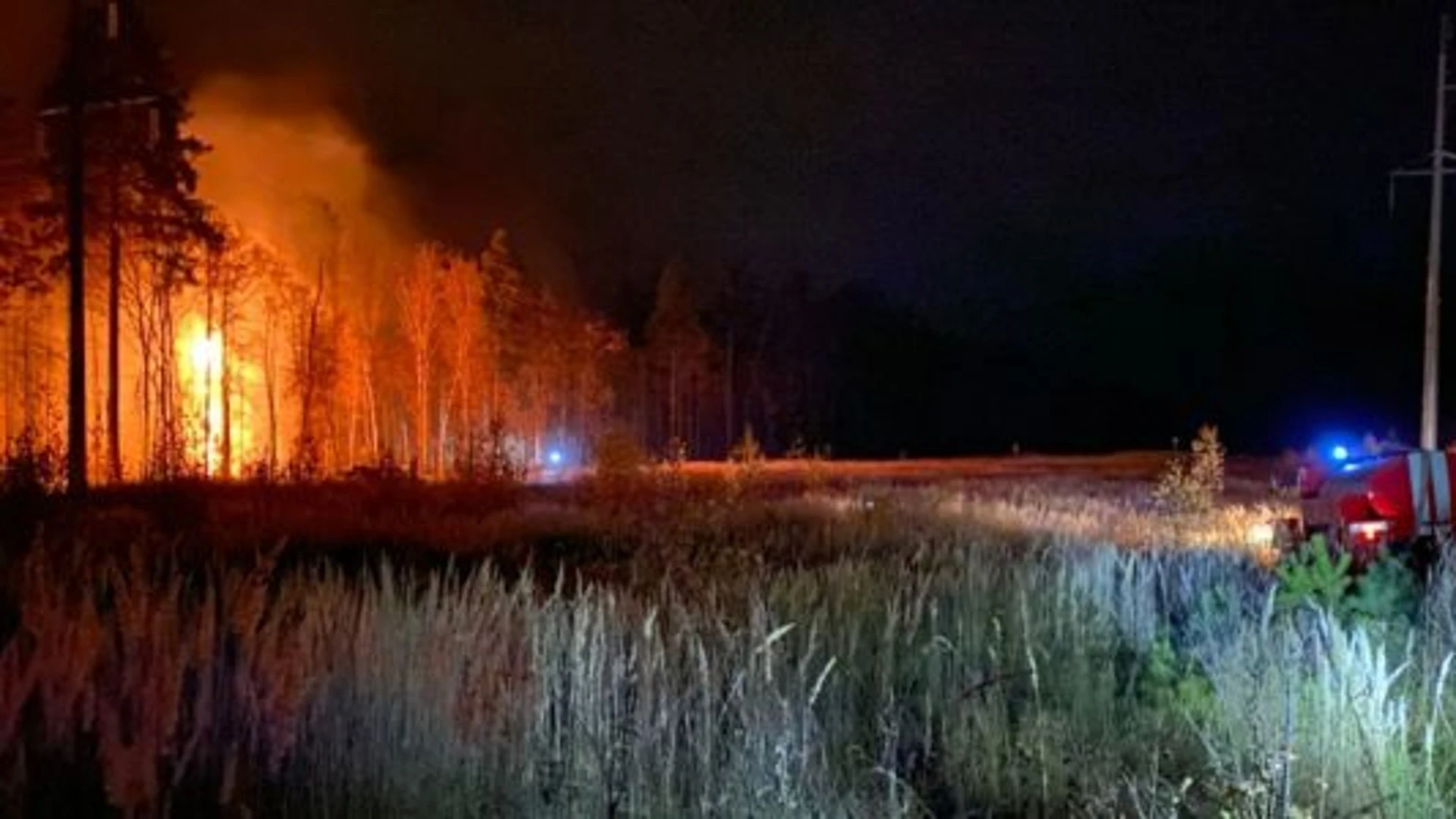 В Пензенской области потушили два лесных пожара