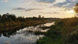 Полицейские Ивановкой области задержали браконьера