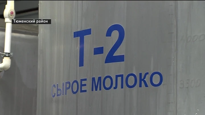 Вести. Регион-Тюмень Как в Тюменской области производят обогащенное йодом молоко