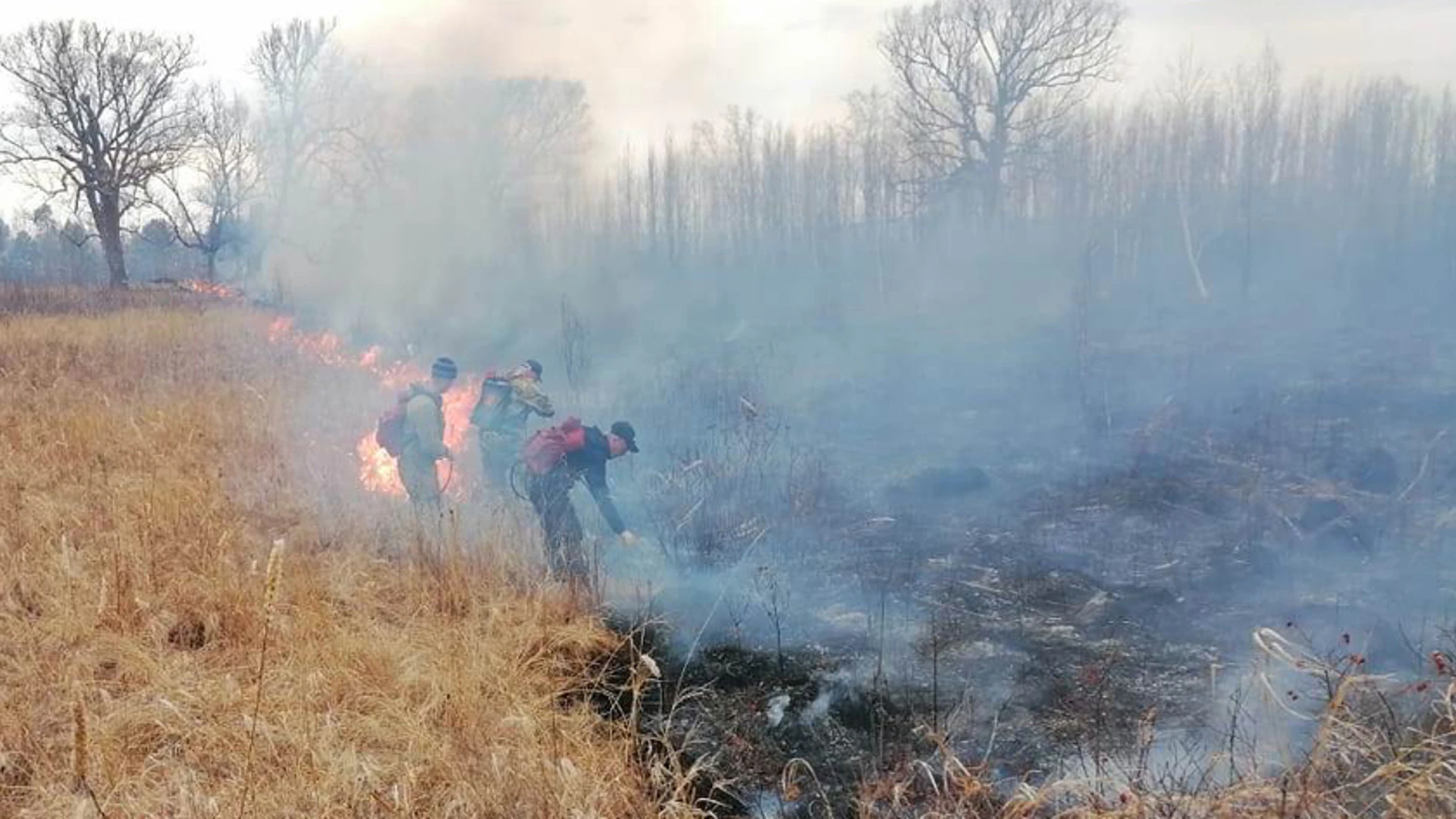 9 природных возгораний тушат в Амурской области