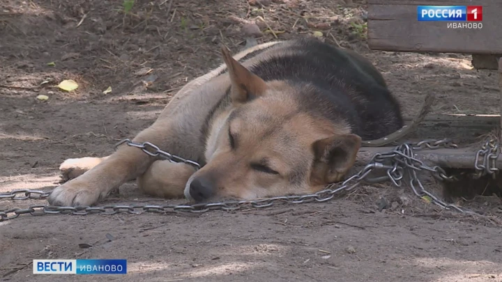 Вести. Иваново Эфир от 16.06.2022 (14:30)