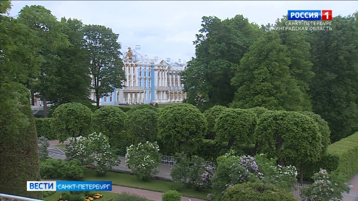 Вести. Санкт-Петербург Эфир от 15.06.2022 (14:30)