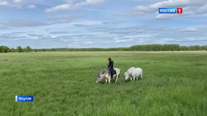 Вести. Саха Десять тысяч километров верхом