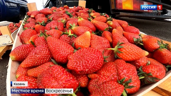 Местное время. Татарстан. Воскресенье Эфир от 12.06.2022 (08:00)