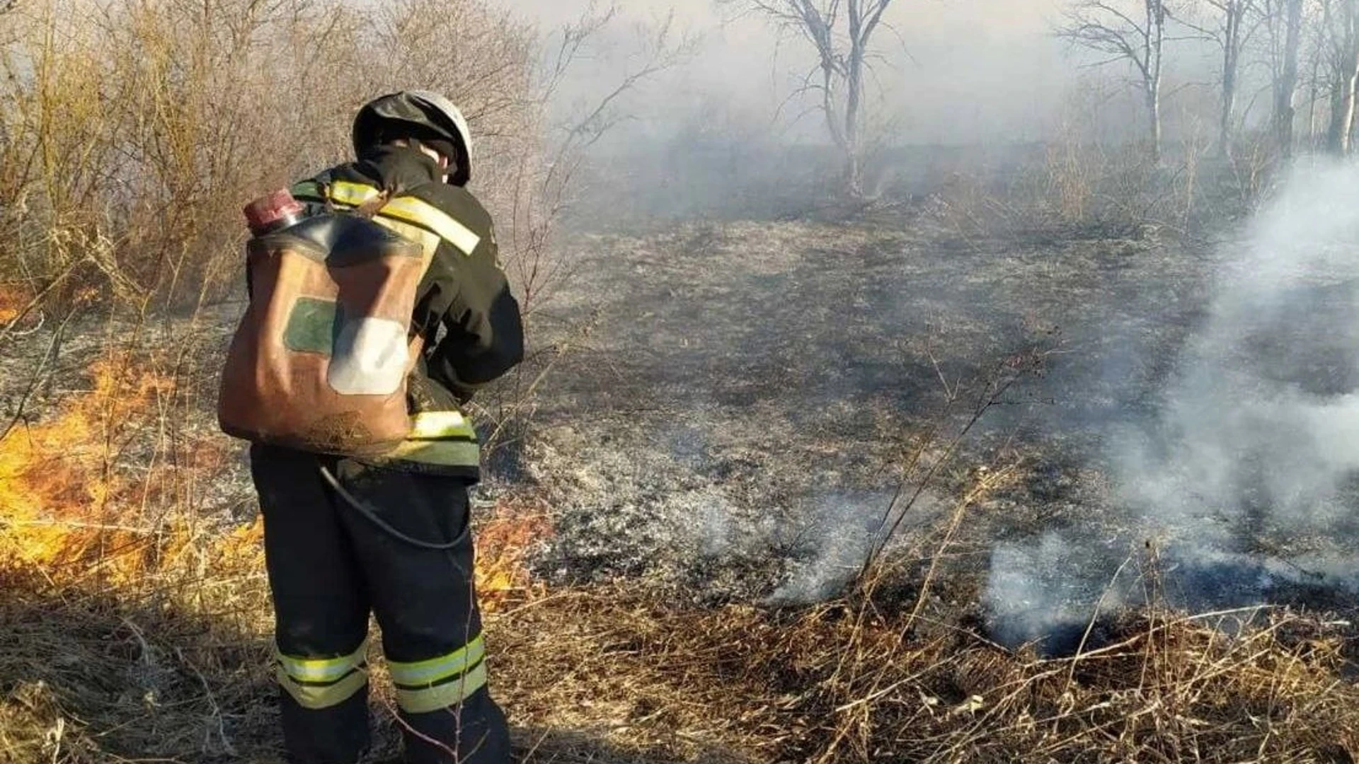 Лесной пожар в Камбарском районе Удмуртии потушили