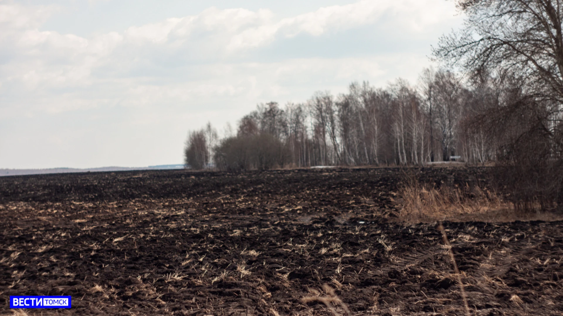 Томская область увеличит посевные площади