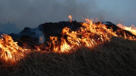 В Волгодонске Ростовской области горит трава в районе химзавода