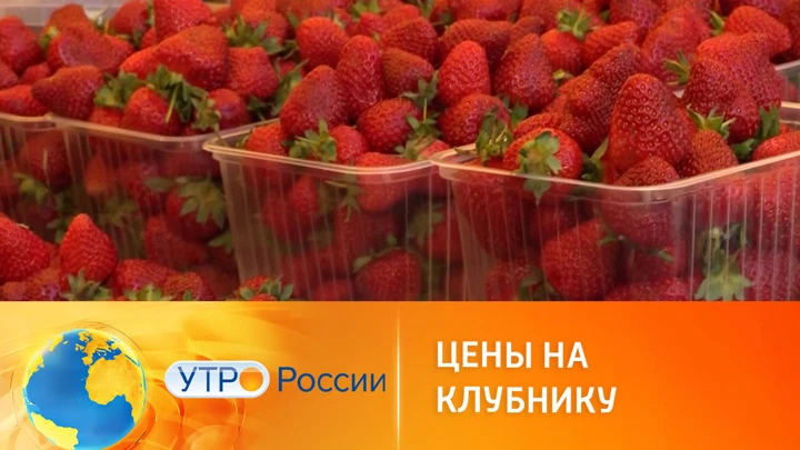 Утро России Сколько стоит клубника на рынках и в магазинах