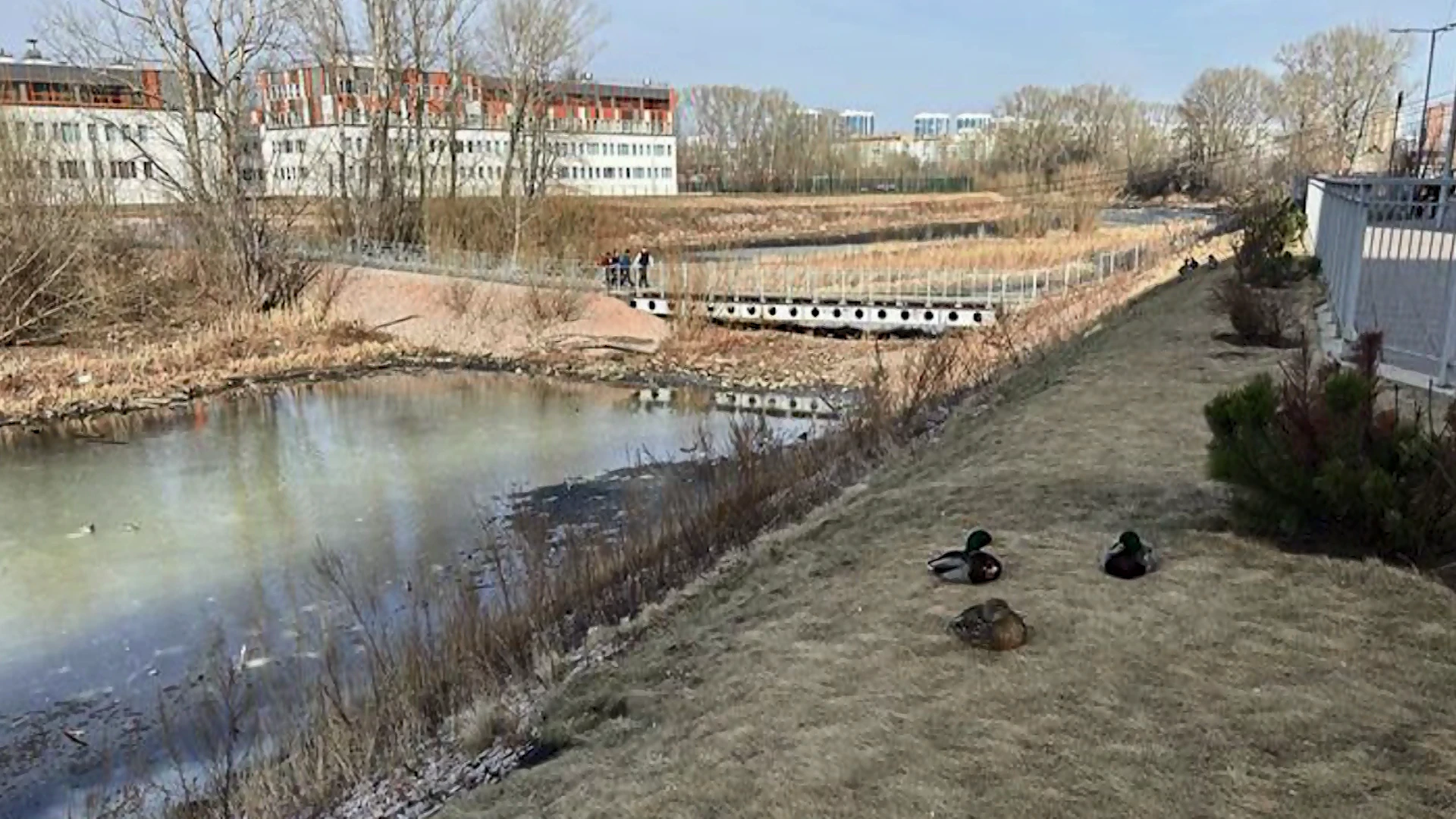 В следующем году в Свердловском районе Красноярска может появиться новая благоустроенная зона у Енисея